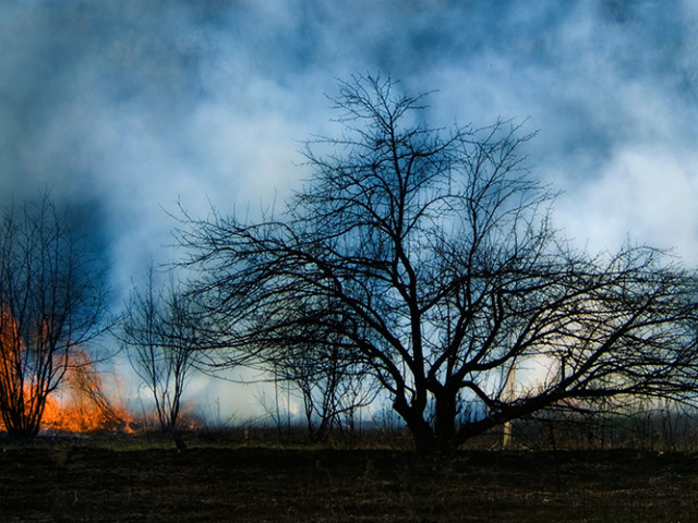 Prairie Burn
