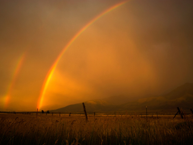 Paradise Valley Rainbows