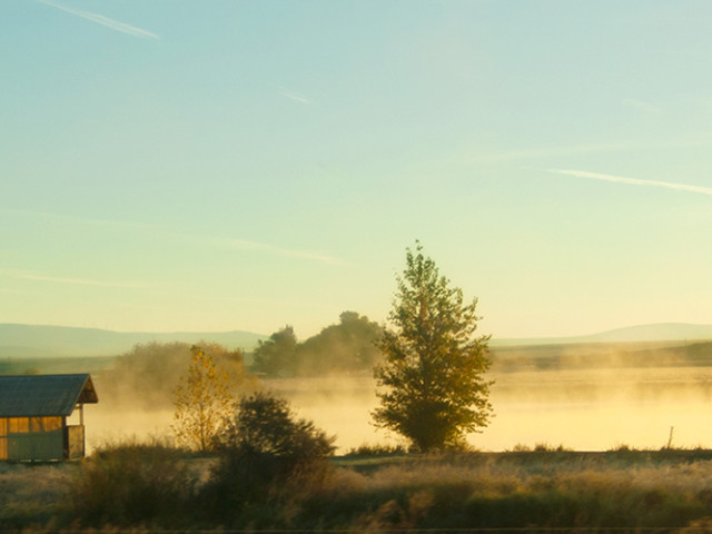 Morning Fog